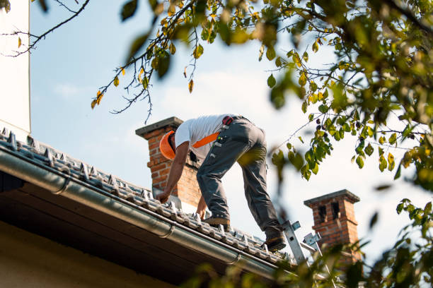 Professional Roofing Contractor in Dobson, NC